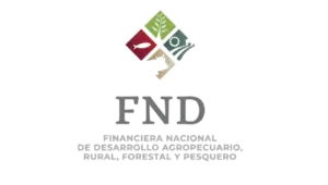 fnd-logo
